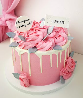 dav_soft